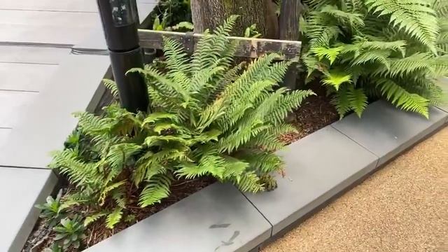 Прогулки по Лондону: Canary Wharf