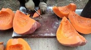 Замёрзла красавица тыква.