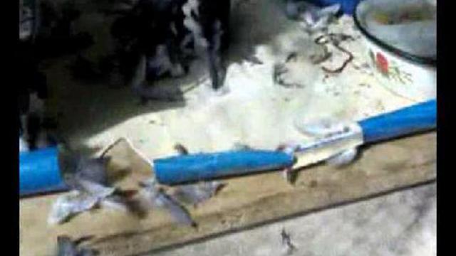 Кар съел сруля смотреть онлайн