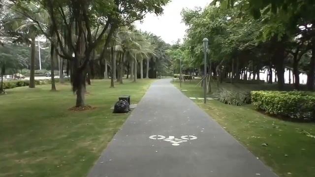 Гироскутер, мини сигвей что это смотреть онлайн