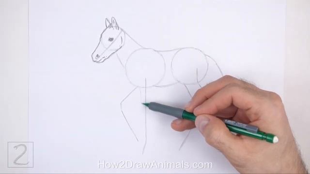 How to Draw a Foal (Baby Horse) смотреть онлайн