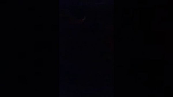 First person shooter example