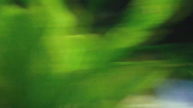 Аквариум на ЖЁСТКОЙ скважинной воде смотреть онлайн