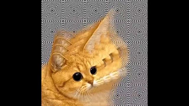 YOU SPIN ME RIGHT ROUND COMPILATION #3 смотреть онлайн