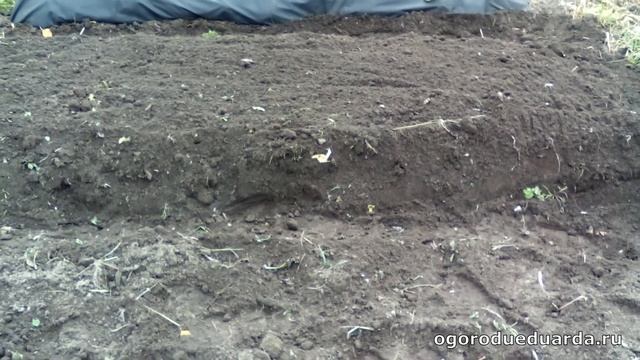 Как я делаю грядки под спанбондом смотреть онлайн
