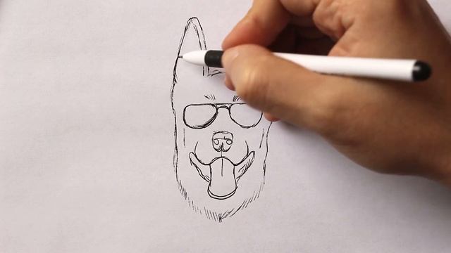 Как нарисовать Собаку легко | Простые рисунки смотреть онлайн