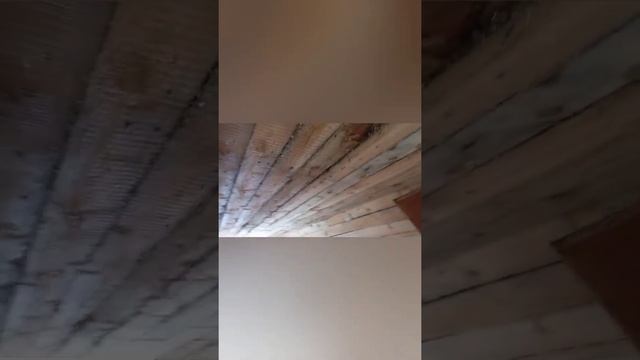 Наша дача. Что нашли???? смотреть онлайн