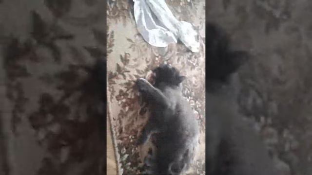 Вызовите экзорциста смотреть онлайн