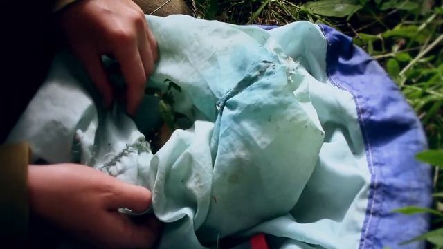 Экспедиция Музея природы в Макарьевское Заунжье смотреть онлайн
