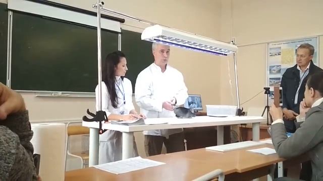 evaluation of chinchillas смотреть онлайн