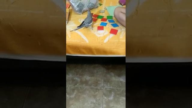Андрюша играет в карточки смотреть онлайн