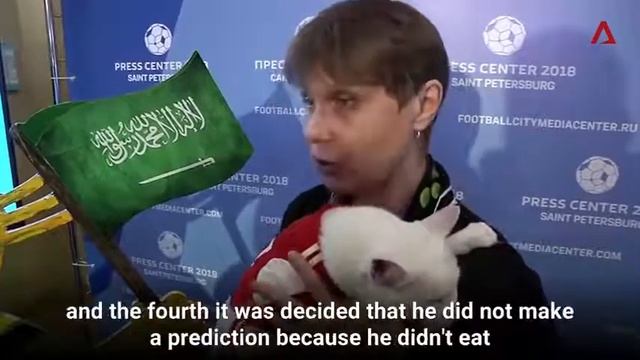 Remember the FIFA World Cup oracle octopus He has a catty replacement смотреть онлайн