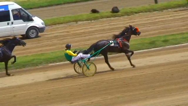 ЦМИ.Ипподром.Джек Пот-В Кондратюк.Часть 17. Rashen Bega Horse. смотреть онлайн