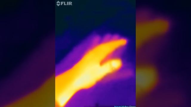 Flir One IOS (in the dark) смотреть онлайн