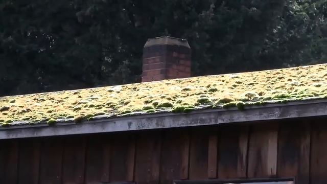 Old Roof. Старая крыша (328sp) смотреть онлайн