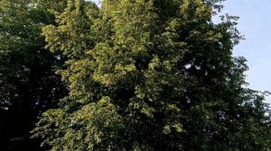 Сплав по реке Тверца