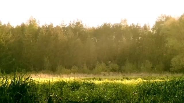 ДИОРОВСКАЯ ВОНЮЧКА УЧИТ ПРАВИЛЬНОМУ ПИТАНИЮ ДЛЯ ДЕТЕЙ. ПИРАТСКАЯ ЖИЗНЬ. ОБЗОР. смотреть онлайн