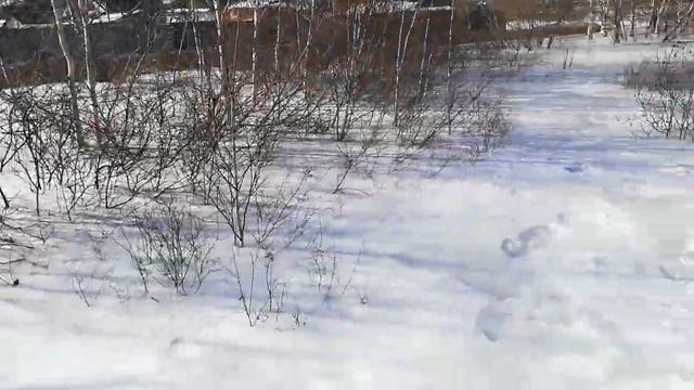 Распиливание льда на реке в Усолье-Сибирском смотреть онлайн