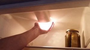 Кемерово Таймс замена лампочки  в  холодильнике Бирюса