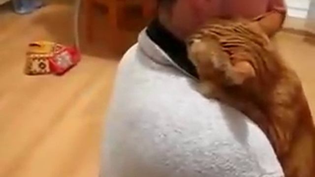 Кот обнимает хозяина смотреть онлайн