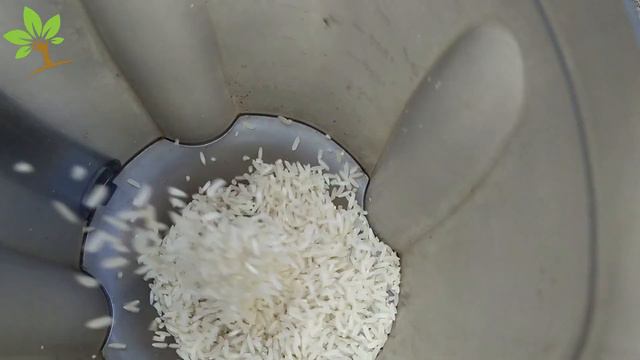 Só 1 COPO DE ARROZ na ORQUÍDEA (Veja o incrível resultado) смотреть онлайн