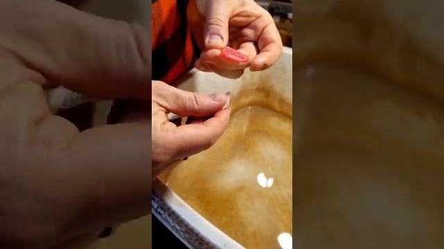 Handmade Hufschmid Plectrums: The Making Process Revealed. смотреть онлайн