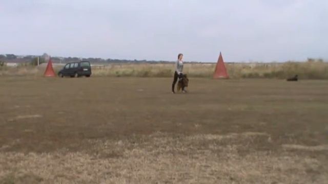 Рим Легенда Юга, сдача испытания BH - 50 баллов.