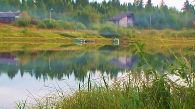 Ромашка белая. смотреть онлайн