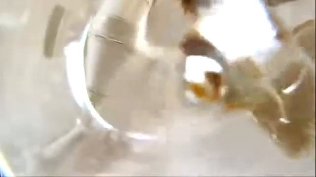 Пологовский МЭЗ смотреть онлайн