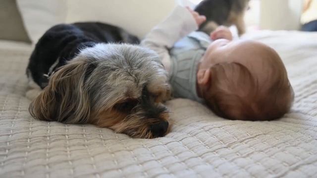 КОРОЧКИ НА ГОЛОВЕ У НОВОРОЖДЕННОГО РЕБЕНКА | Как убрать родовую грязь на голове у грудничка смотреть онлайн