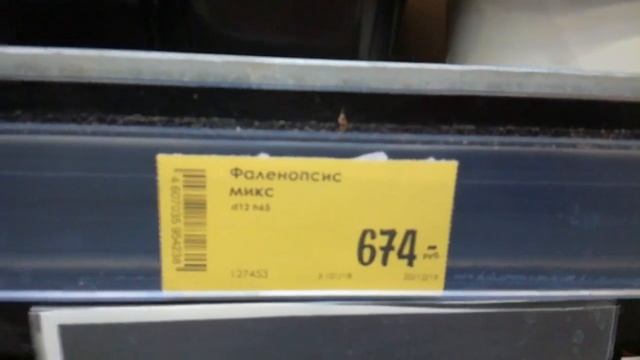 Завоз цветов в Кастораме/ Много орхидей, пуансеттий