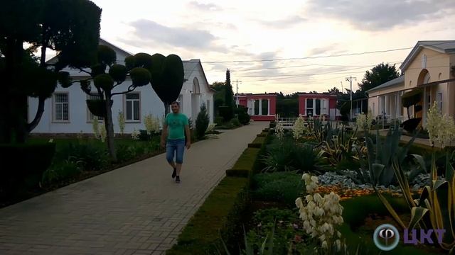 Июньский марафон ЦКТ. Шагомер, Веломер, Бегомер смотреть онлайн