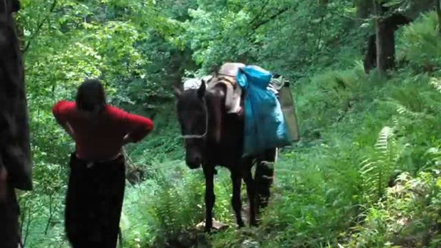 TETEVENSKATA смотреть онлайн