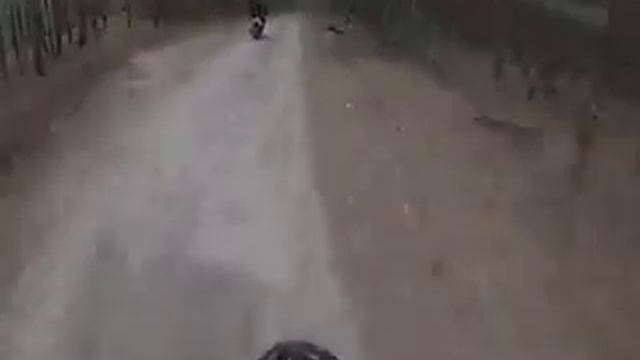 Прохват на мопедах смотреть онлайн