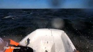 Кайман 400 на волне, по ветру и против.