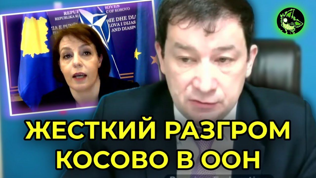 ПОЛЯНСКИЙ ЖECTKO ПРОШЕЛСЯ ПО КОСОВО В ООН смотреть онлайн