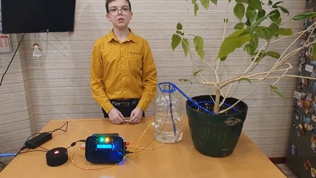 Умный полив с Яндекс Алисой