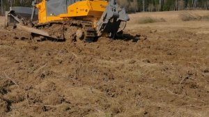 Бульдозер Дст урал д10 корчевка.