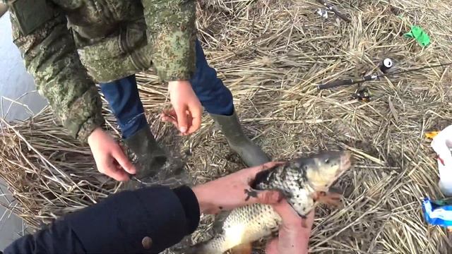 РЫБАЛКА НА САЗАНА ВЕСНОЙ. РЫБАЛКА НА ДОНКУ 2020.рыбалка весной 2020 смотреть онлайн