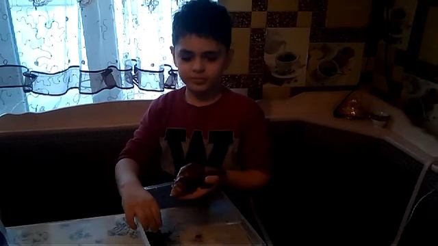 КАК УХАЖИВАТЬ ЗА УЛИТКАМИ АХАТИН !? начальное видео. смотреть онлайн