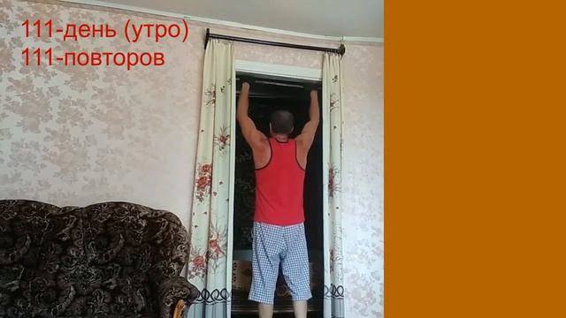 111 ДЕНЬ подтягивания на турнике (утро-вечер) смотреть онлайн