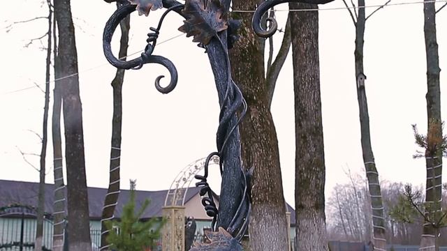 «Мармеладное царство» смотреть онлайн