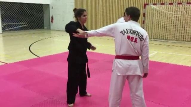 Hapkido Phoenix ASPTT Strasbourg, l'Aikido Coréen смотреть онлайн
