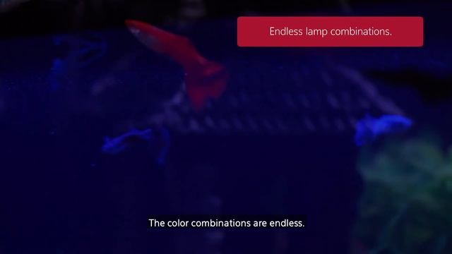 Aqueon LED Lamps смотреть онлайн