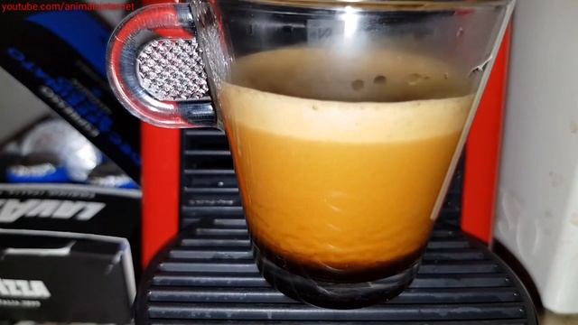 Lavazza decaffeinato ricco 6 capsules on a Nespresso Delonghi Essenza Mini machine смотреть онлайн