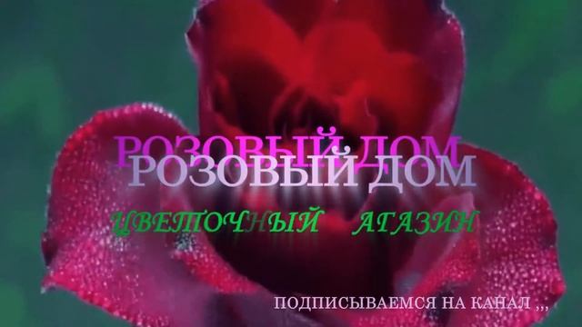 Rosовое интро для цветочного магазина смотреть онлайн