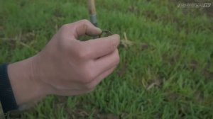 Новинка от Minelab / Поисковая катушка 6DD снайперка для Equinox