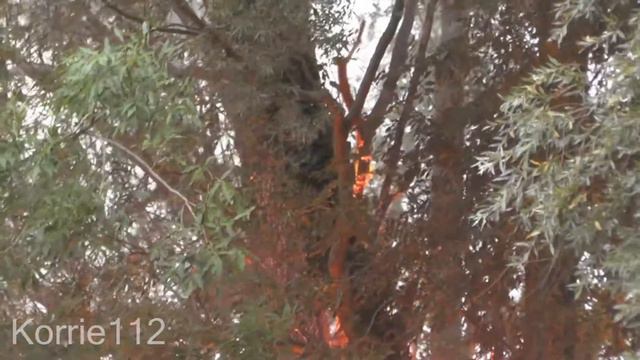 08-09-2014, Drie schuren afgebrandt door fikse brand aan de Mûnewei in De Falom смотреть онлайн