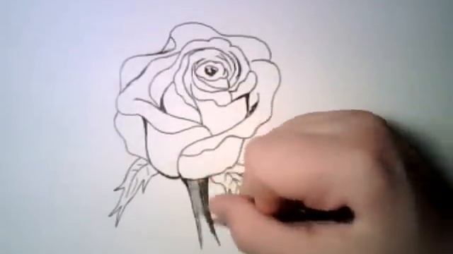 Рисунок розы карандашом поэтапно)) смотреть онлайн