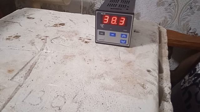 Подготовка гусиных яиц к инкубации Начало инкубации смотреть онлайн